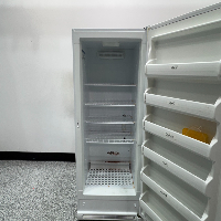 Thermo 20LREETSA Laboratory Refrigerator image 2